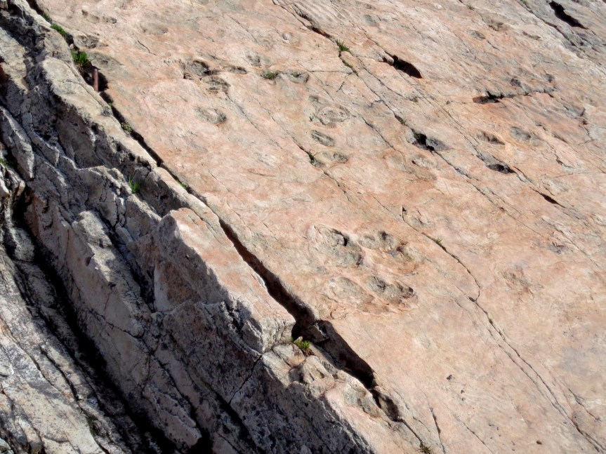 Huellas de antecesores de los dinosaurios